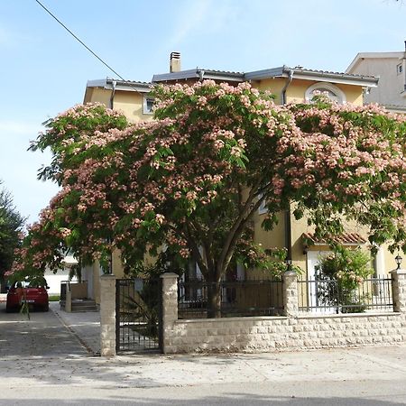 Luna Apartments Budva Værelse billede
